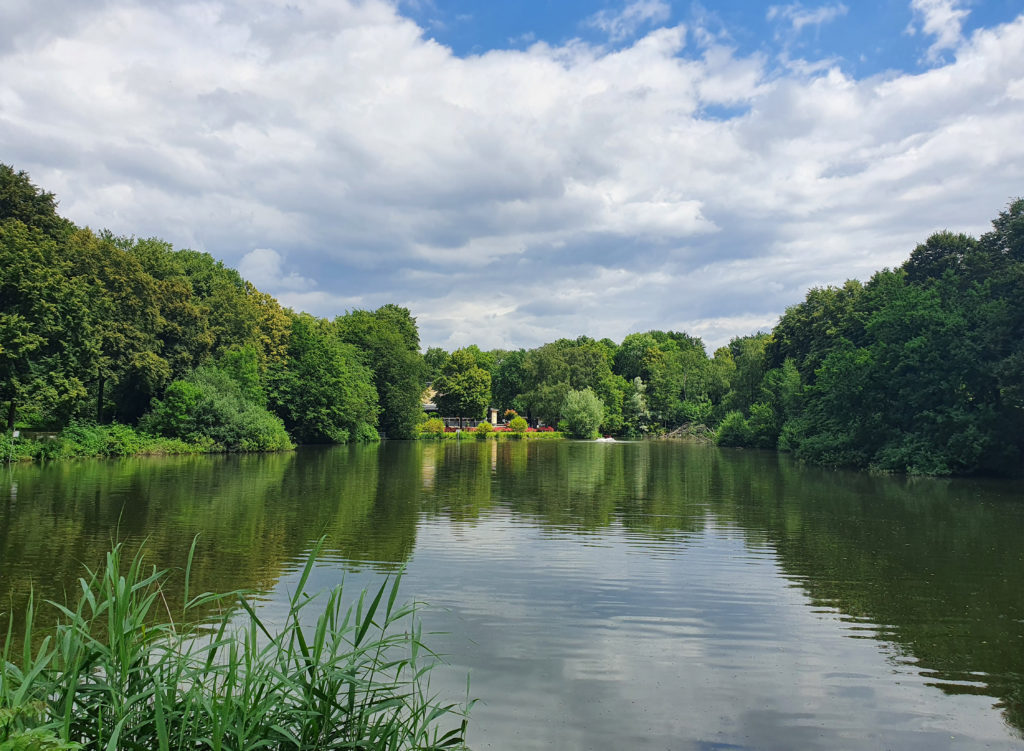 Blick über den Teich im Nienhausen Busch auf das Waldhaus.