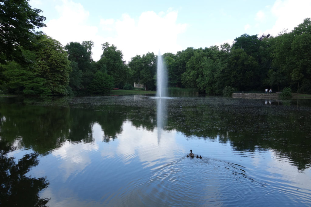 Sprudelnde Fontäne im Teich des Bulmker Parks mit einer Entenfamilie im Vordergrund.