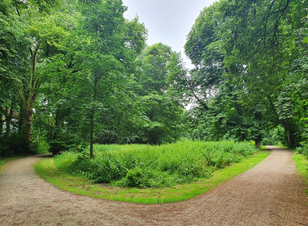 Eine Weggabelung im waldreichen Rheinelbepark.