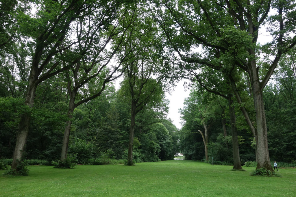 Blick über eine von Bäumen eingerahmte Rasenfläche auf den Teich im Stadtwald Buer.