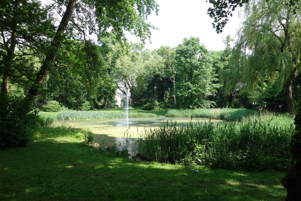 Blick auf die sprudelnde Fontäne im Teich des Von-Wedelstaedt-Parks, der von vielen großen Bäumen eingerahmt wird.