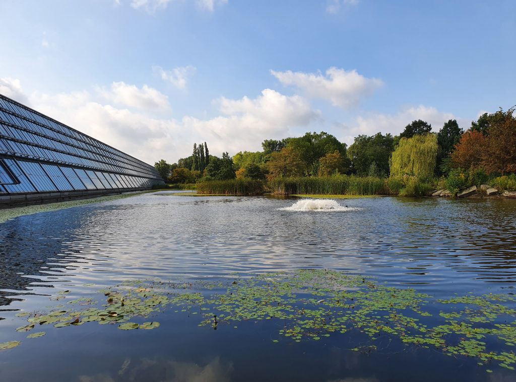 Blick auf den Teich im Wissenschaftspark mit der langgestreckten Fensterfont des Bürogebäudes auf der linken Seite.